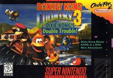 DONKEY KONG COUNTRY 3 (WITH MANUAL) (usagé)