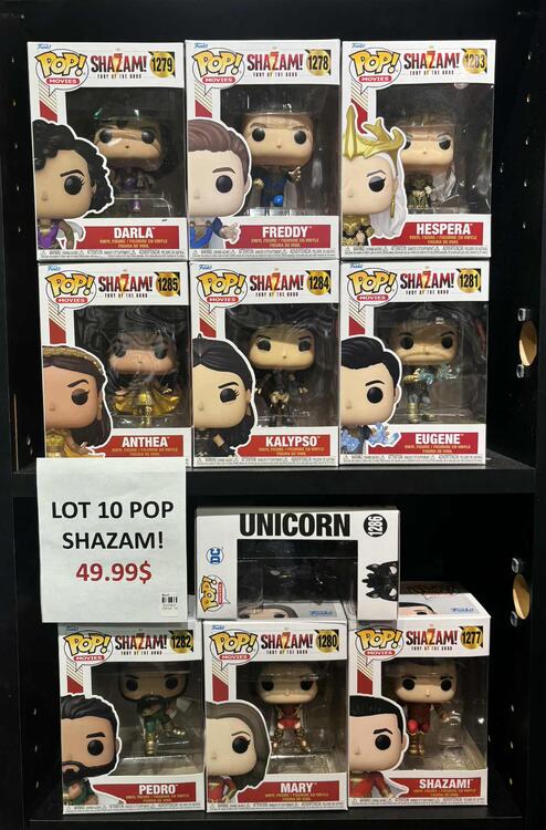 POP SHAZAM! LOT 10 POP (usagé)