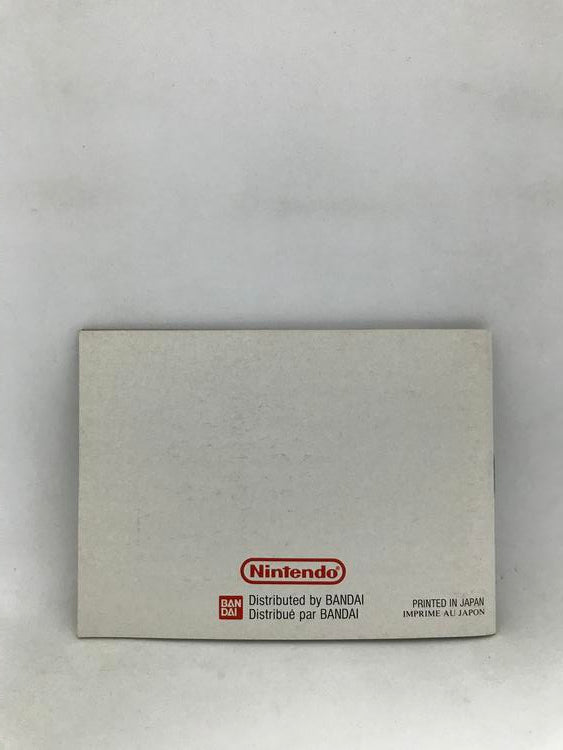 GB KUNG FU MASTER INSTRUCTION BOOKLET ENGLISH