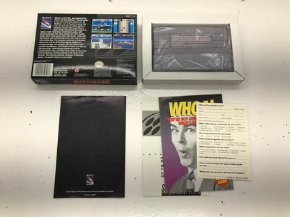 SKYBLAZER (COMPLETE IN BOX) (usagé)