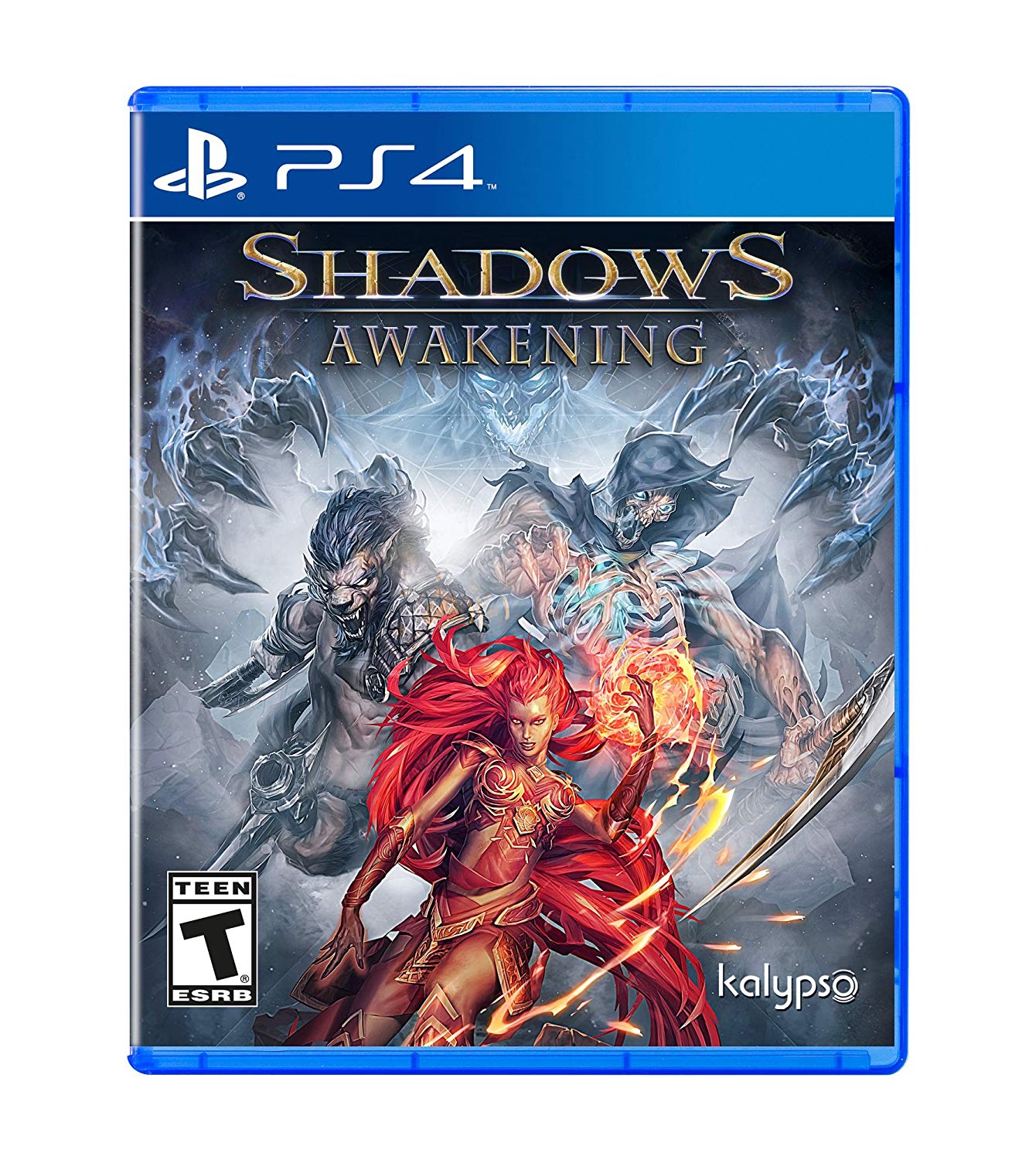 SHADOWS AWAKENING (usagé)