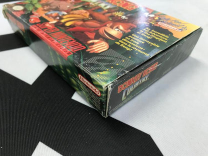 DONKEY KONG COUNTRY (COMPLETE IN BOX) (usagé)