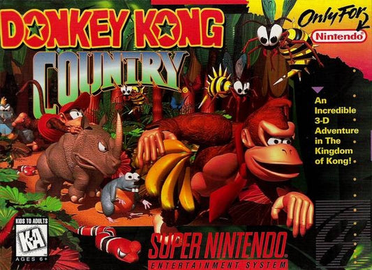 DONKEY KONG COUNTRY (COMPLETE IN BOX) (usagé)