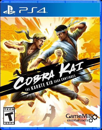 COBRA KAI (usagé)