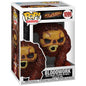 POP THE FLASH BLOODWORK 1099 (usagé)