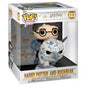 POP HARRY POTTER RIDES HARRY POTTER AND BUCKBEAK 123