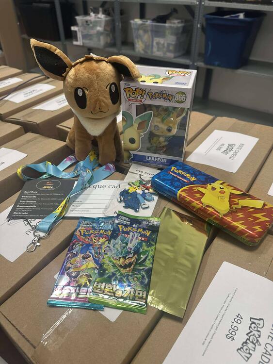 BOÎTE CADEAU POKEMON (usagé)