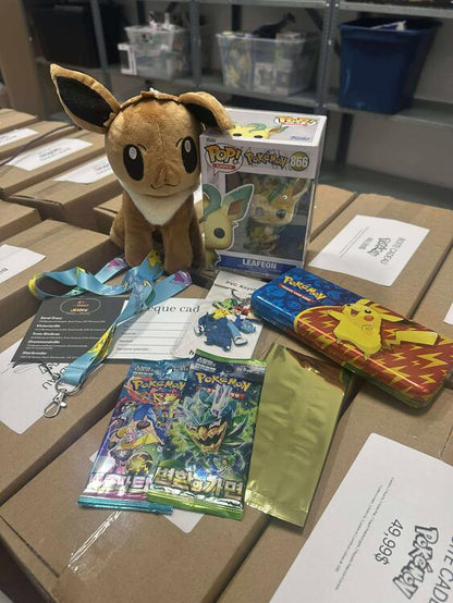 BOÎTE CADEAU POKEMON (usagé)