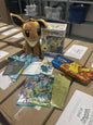 BOÎTE CADEAU POKEMON (usagé)