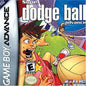 SUPER DODGE BALL ADVANCE (usagé)