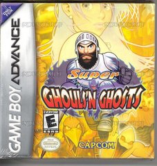 SUPER GHOULS 'N GHOSTS (COMPLETE IN BOX) (usagé)