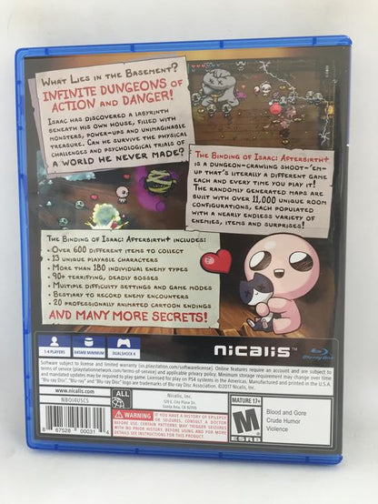 THE BINDING OF ISAAC AFTERBIRTH+ (usagé)