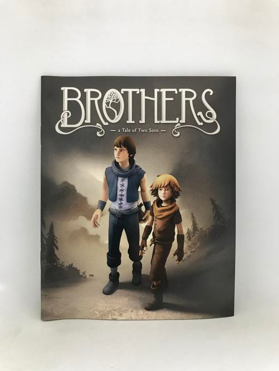 BROTHERS A TALE OF TWO SONS (usagé)
