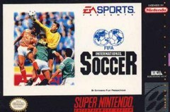FIFA INTERNATIONAL SOCCER