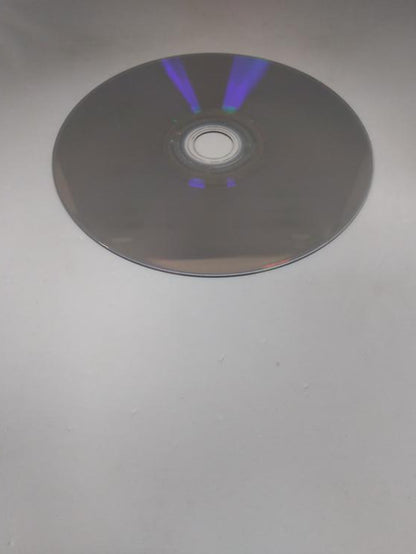 NASCAR HEAT EVOLUTION