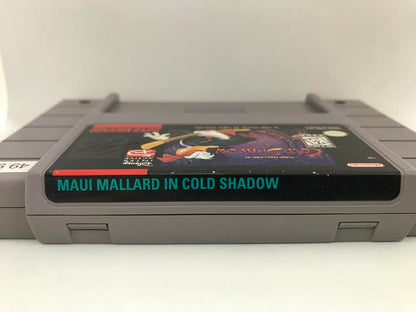 MAUI MALLARD IN COLD SHADOW