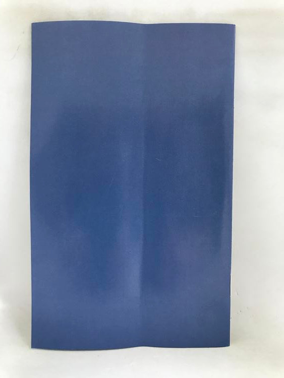 GARFIELD LASAGNA WORLD TOUR (COMPLETE IN BOX) (usagé)