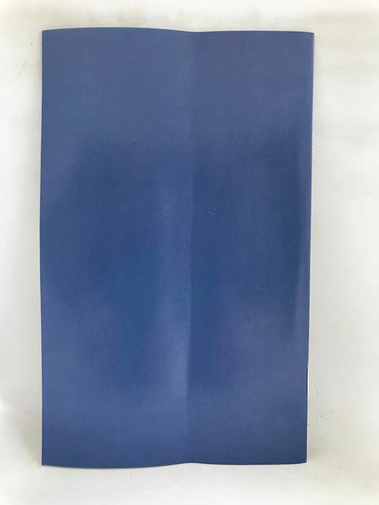 GARFIELD LASAGNA WORLD TOUR (COMPLETE IN BOX) (usagé)