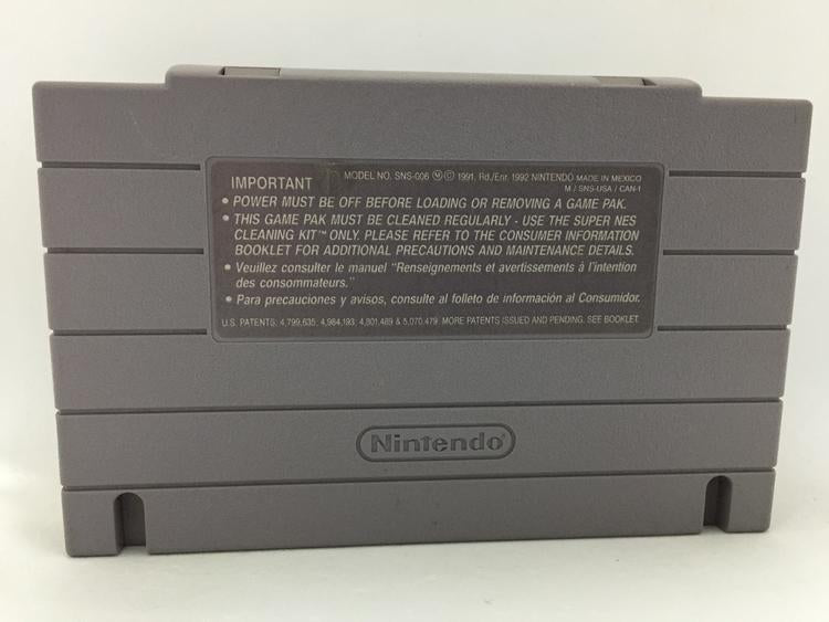 WAYNE GRETZKY AND THE NHLPA ALL-STARS