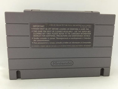 WAYNE GRETZKY AND THE NHLPA ALL-STARS