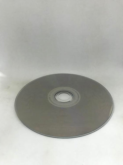 FIST OF THE NORTH STAR LOST PARADISE