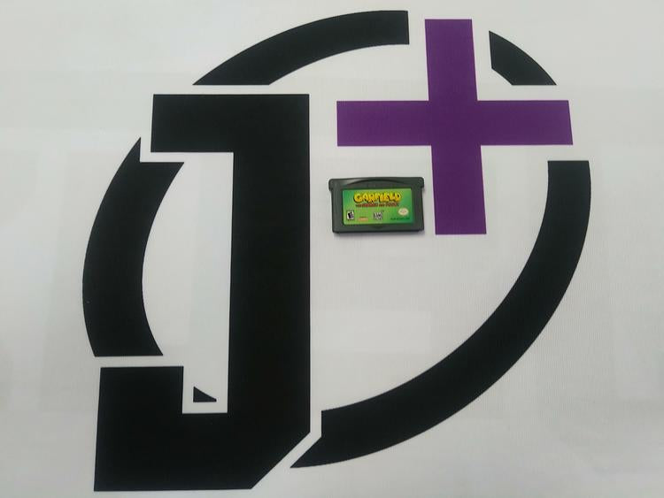 GARFIELD THE SEARCH FOR POOKY