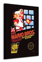 SUPER MARIO BROS.