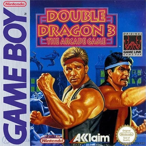 DOUBLE DRAGON 3 THE ARCADE GAME (COMPLETE IN BOX) (usagé)