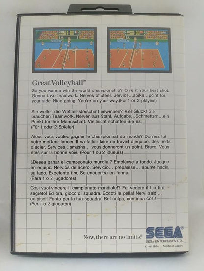GREAT VOLLEYBALL (COMPLETE IN BOX)