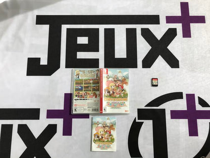 STORY OF SEASONS FRIENDS OF MINERAL TOWN