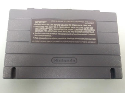 THE PAGEMASTER (WITH BOX) (usagé)