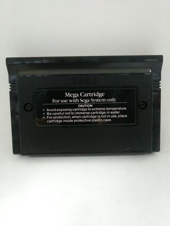 DOUBLE DRAGON (COMPLETE IN BOX) (usagé)