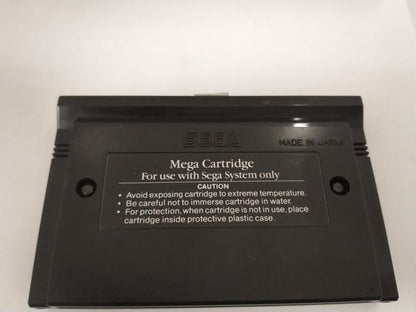 GHOULS 'N GHOSTS (WITH BOX) (usagé)