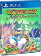 WONDER BOY ASHA IN MONSTER WORLD