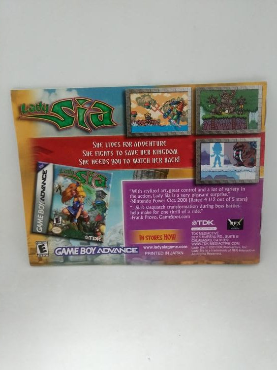 GBA DINOTOPIA THE TIMESTONE PIRATES INSTRUCTION BOOKLET ENGLISH (usagé)