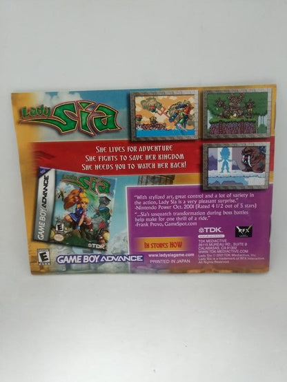 GBA DINOTOPIA THE TIMESTONE PIRATES INSTRUCTION BOOKLET ENGLISH (usagé)
