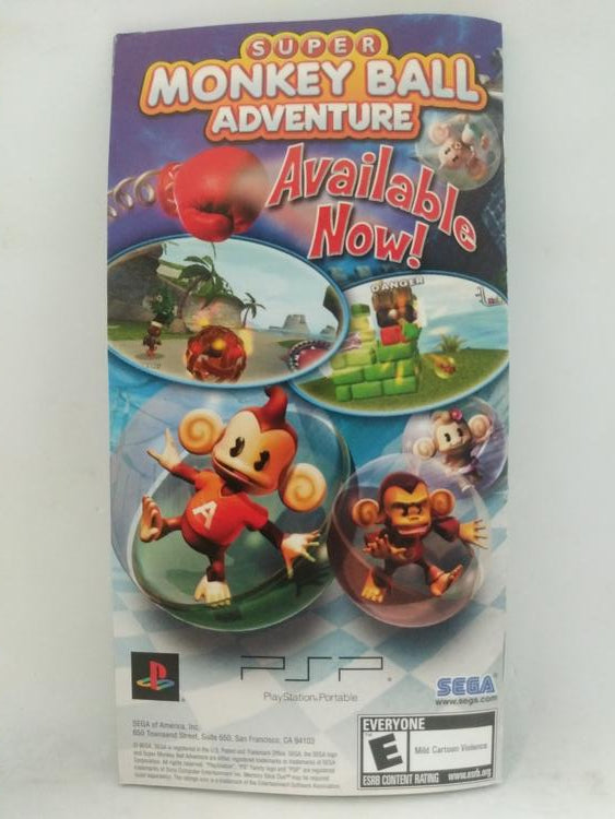 SONIC RIVALS (COMPLETE IN BOX) (usagé)
