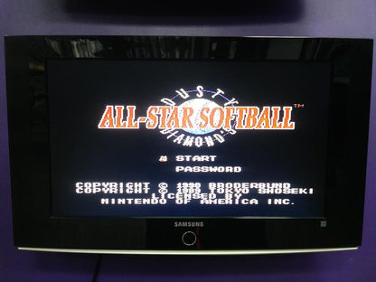 DUSTY DIAMOND'S ALL-STAR SOFTBALL