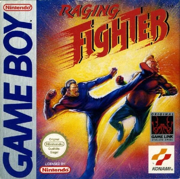 RAGING FIGHTER