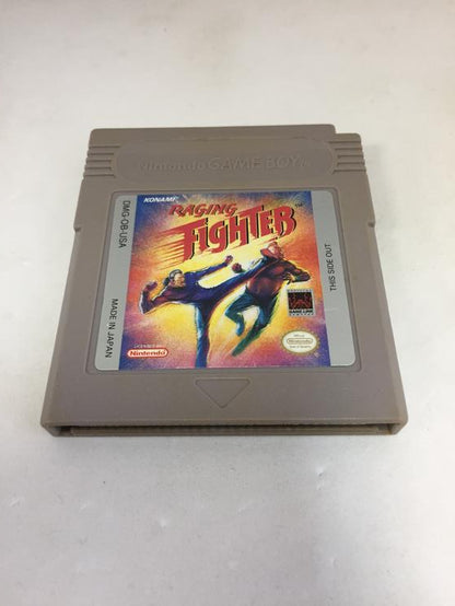RAGING FIGHTER