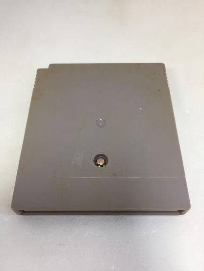 RAGING FIGHTER (usagé)