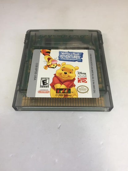 WINNIE THE POOH ADVENTURE IN THE 100 ACRE WOOD
