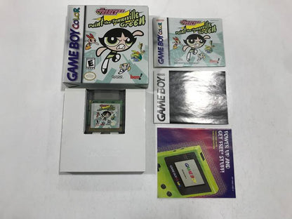 THE POWERPUFF GIRLS PAINT THE TOWNSVILLE GREEN (COMPLETE IN BOX) (usagé)