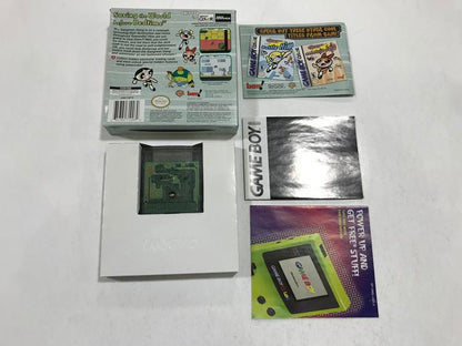 THE POWERPUFF GIRLS PAINT THE TOWNSVILLE GREEN (COMPLETE IN BOX) (usagé)