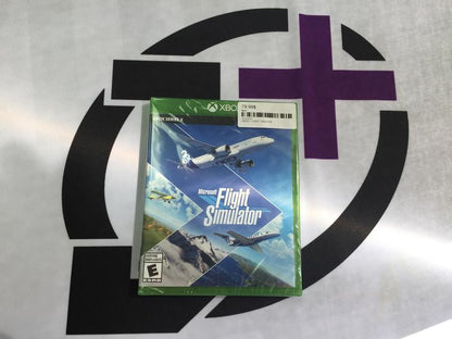 FLIGHT SIMULATOR (usagé)