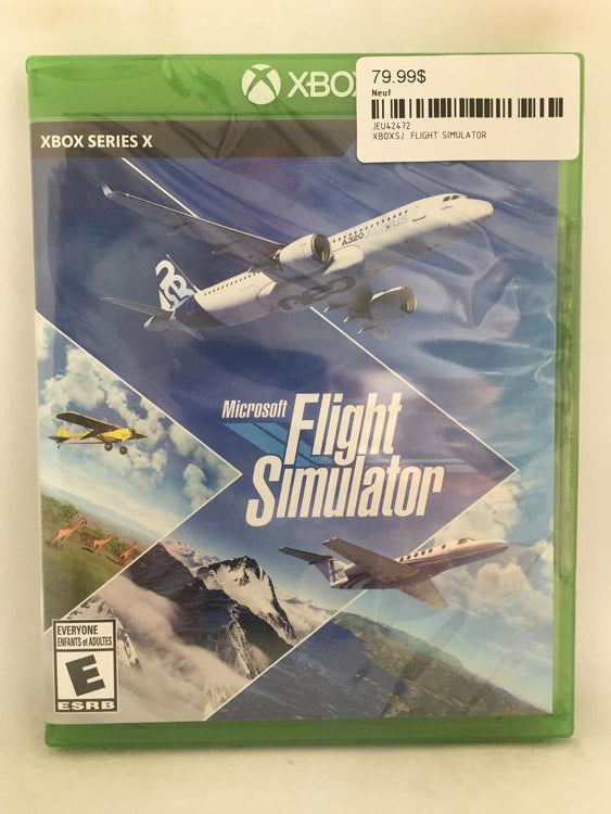 FLIGHT SIMULATOR (usagé)