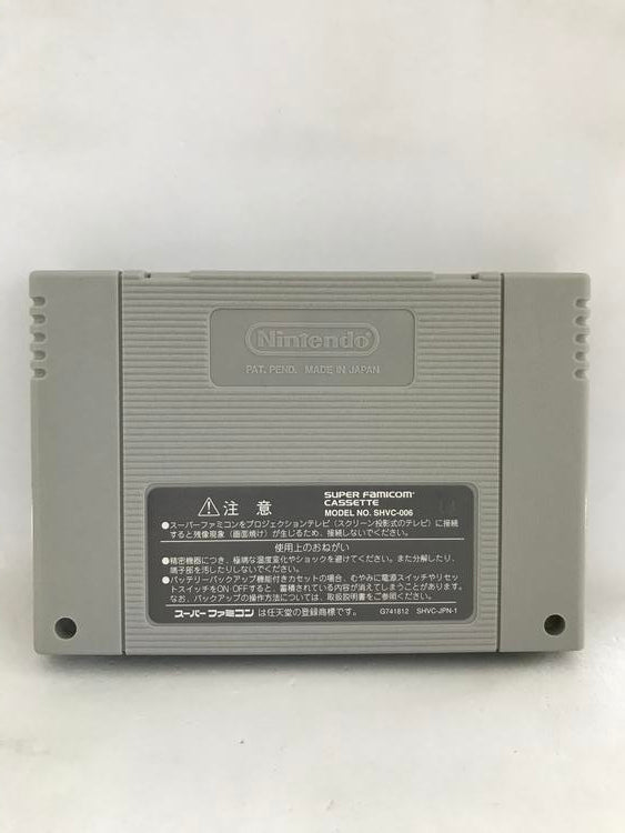 ROCKMAN & FORTE JAP EDITION