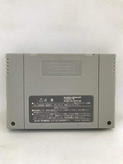ROCKMAN & FORTE JAP EDITION