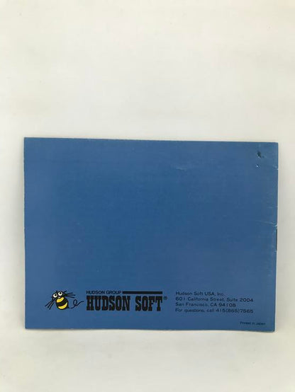 NES MILON'S SECRET CASTLE INSTRUCTION BOOKLET ENGLISH (usagé)