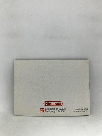 GB KUNG FU MASTER INSTRUCTION BOOKLET ENGLISH (usagé)